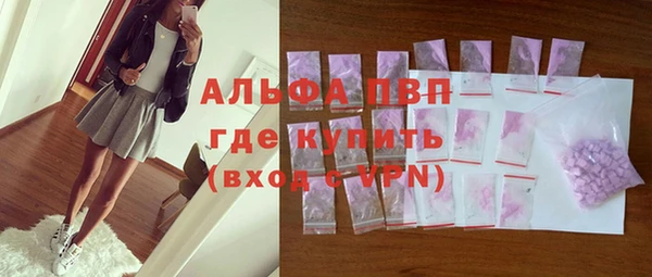 прущие грибы Балабаново