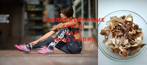 кокс Баксан