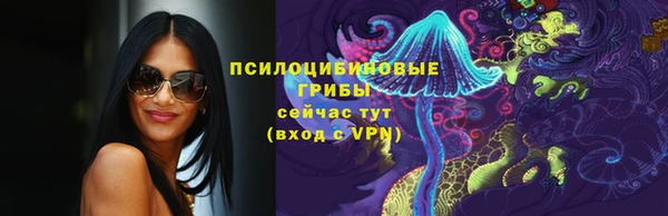 кокс Баксан