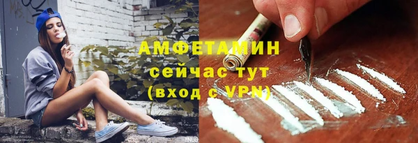 прущие грибы Балабаново