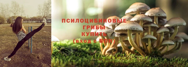 кокс Баксан