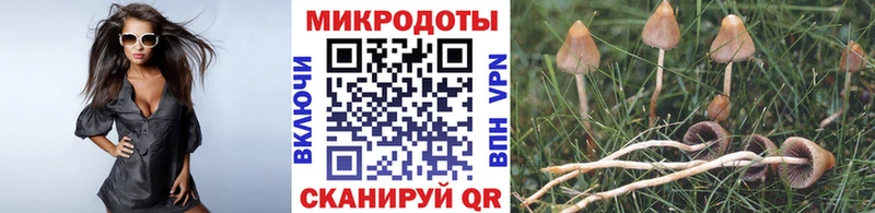 darknet формула  блэк спрут онион  Красноуральск  Псилоцибиновые грибы ЛСД 